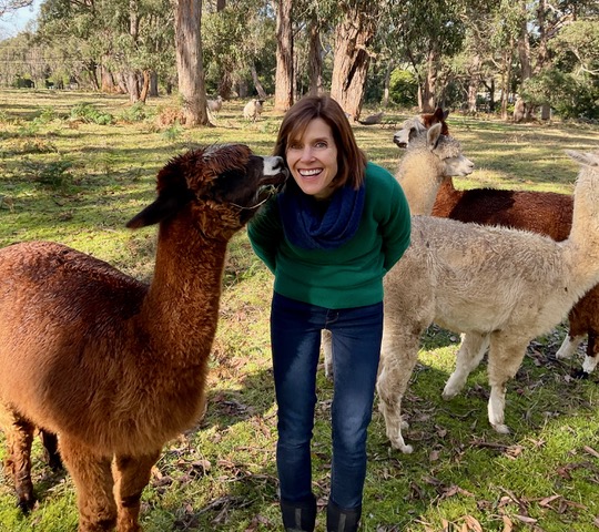 Vanessa Keating with alpacas